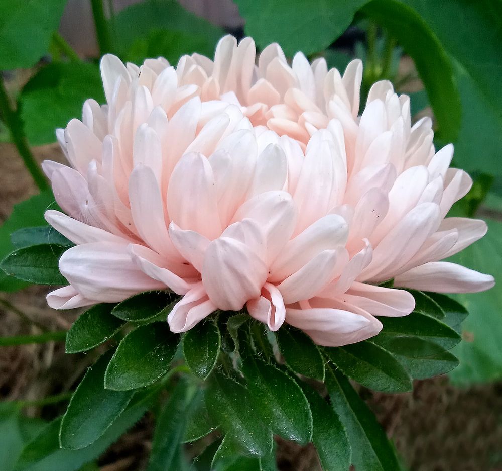 Photograph by Татьяна