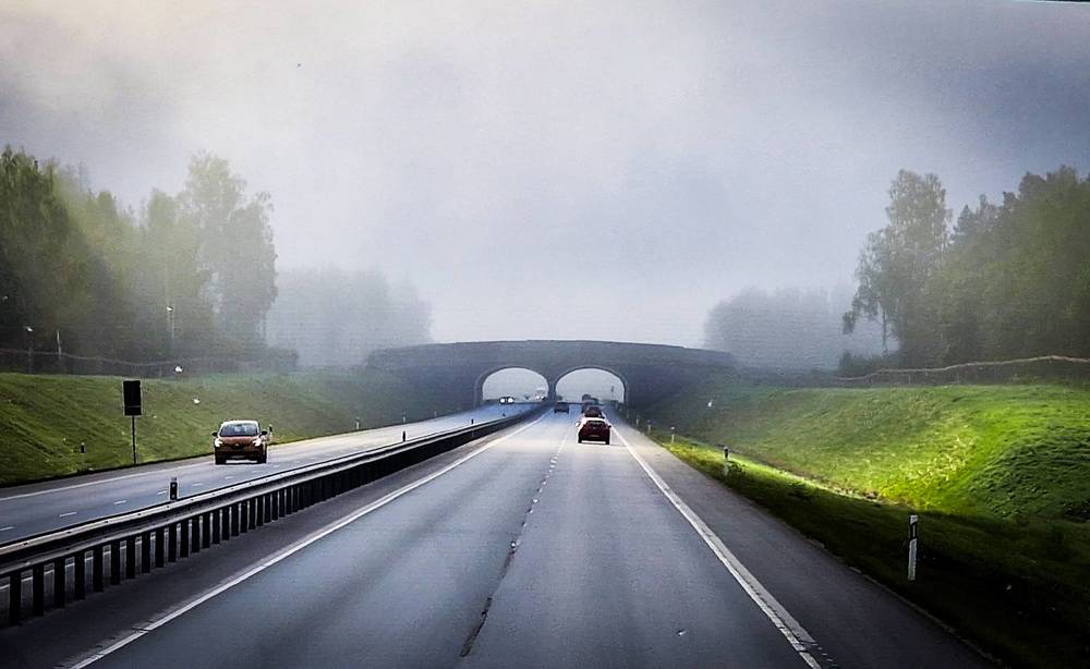 Photograph by Ljudmilla Pavljutsenkova