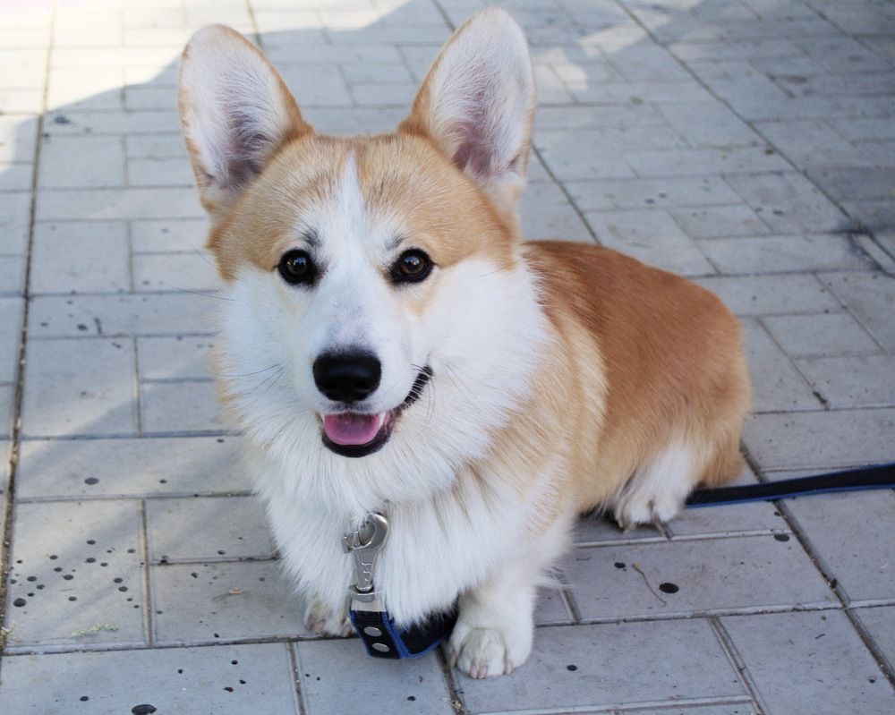 Фотография автора Мария Жданова