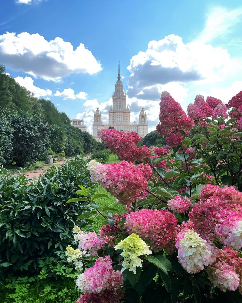 Фотография автора Мария Жданова