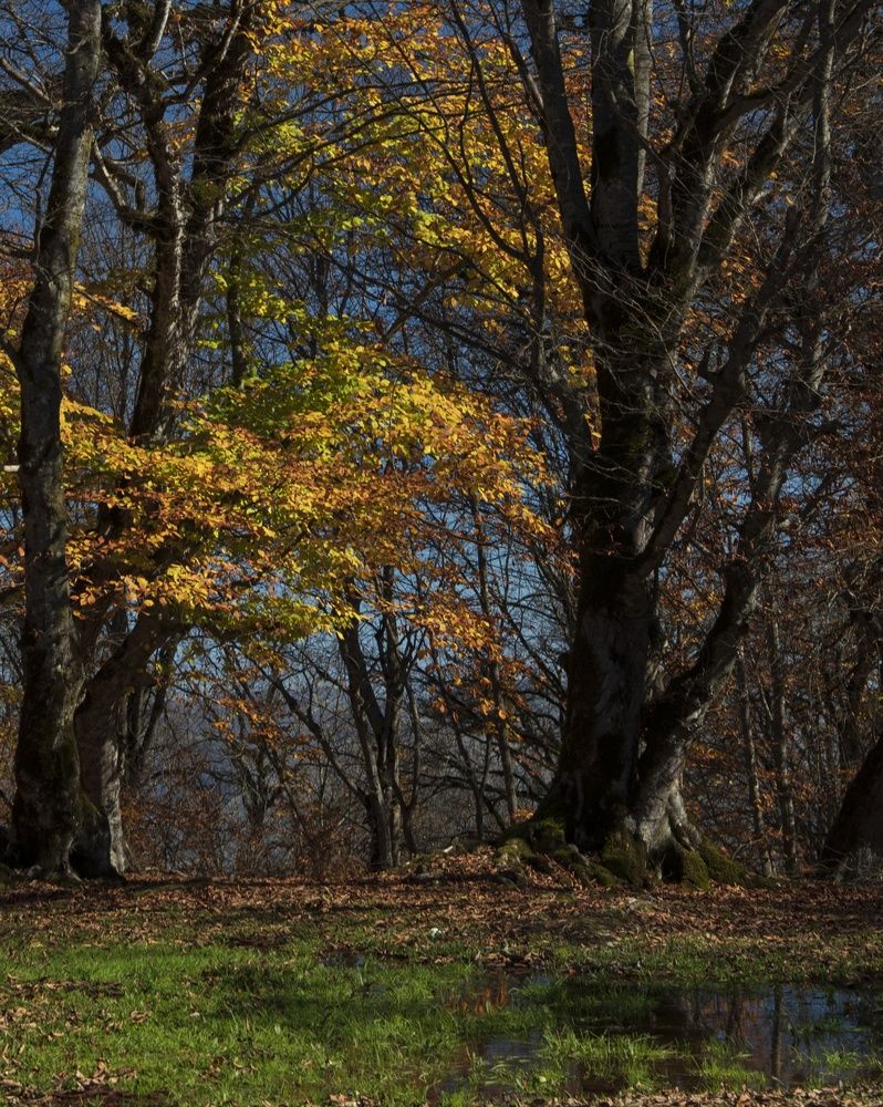 Photograph by Amir Naserkhani