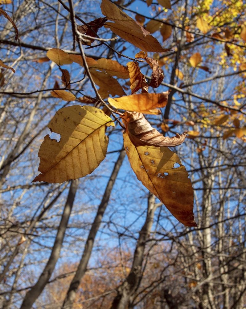 Photograph by Amir Naserkhani