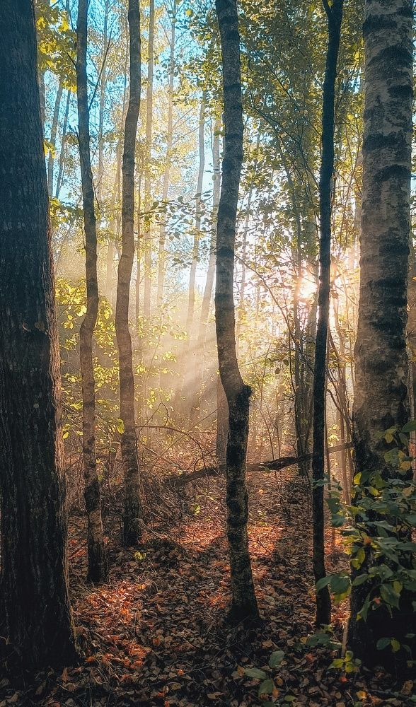 Photograph by Leanid Kulpo