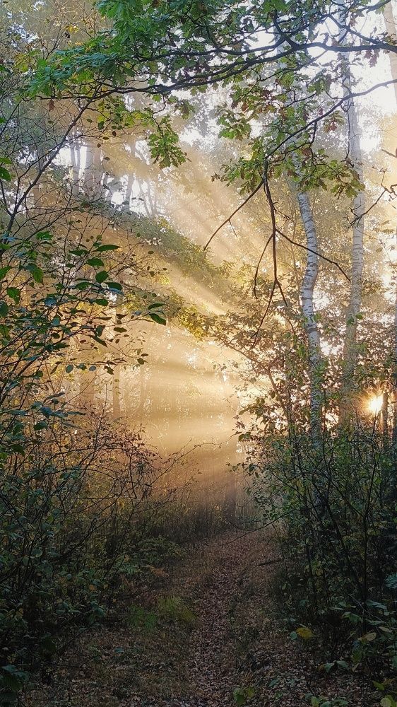 Photograph by Leanid Kulpo