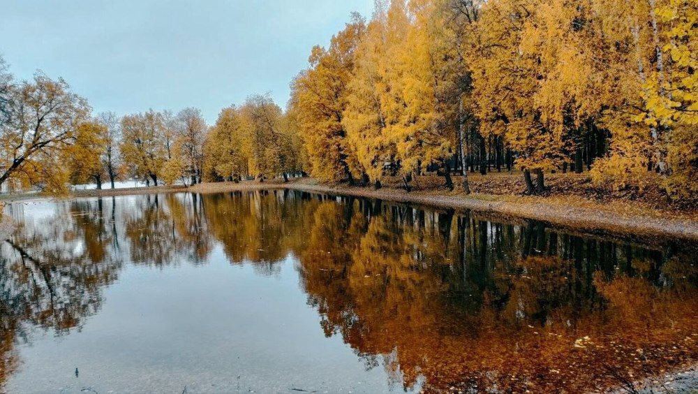 Photograph by Наталья