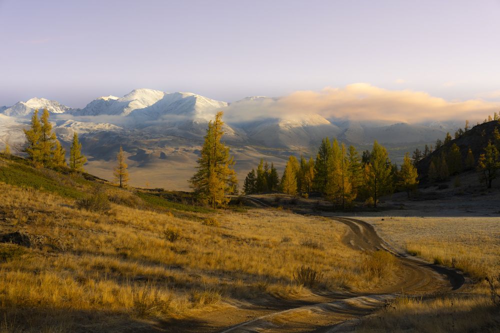 Фотография автора Ковалев Дмитрий