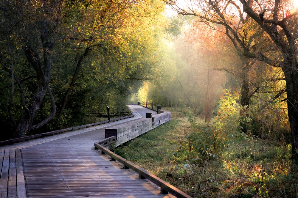 Фотография автора Владимир Барсуков