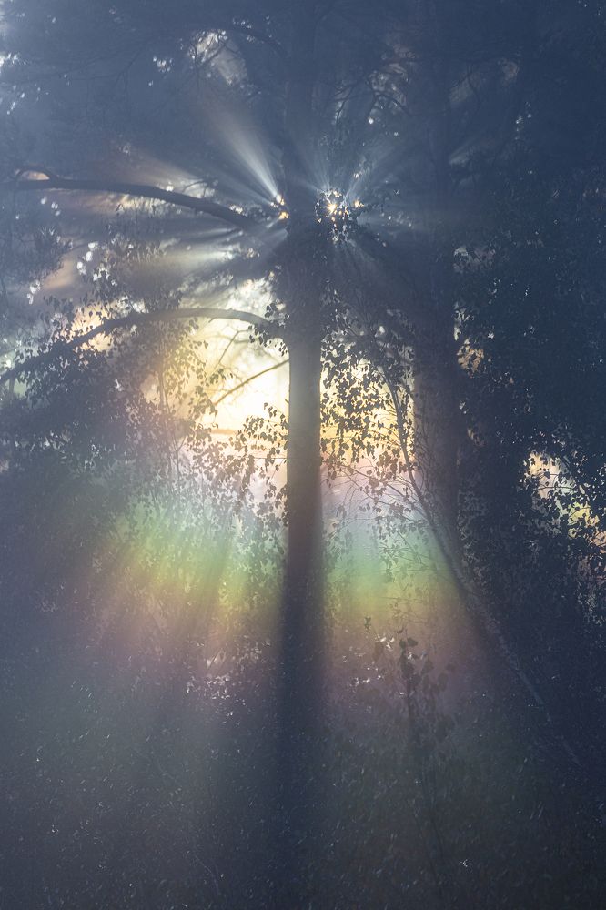 Photograph by Leanid Kulpo