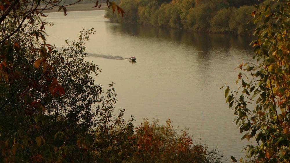 Фотография автора Дмитрий Андреевич
