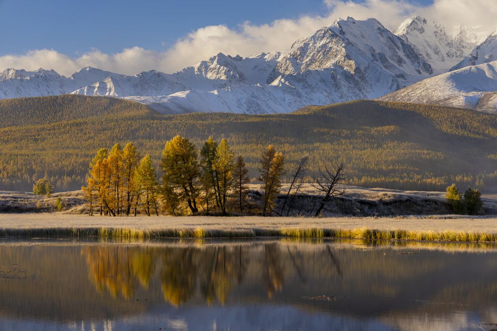 Фотография автора Ковалев Дмитрий