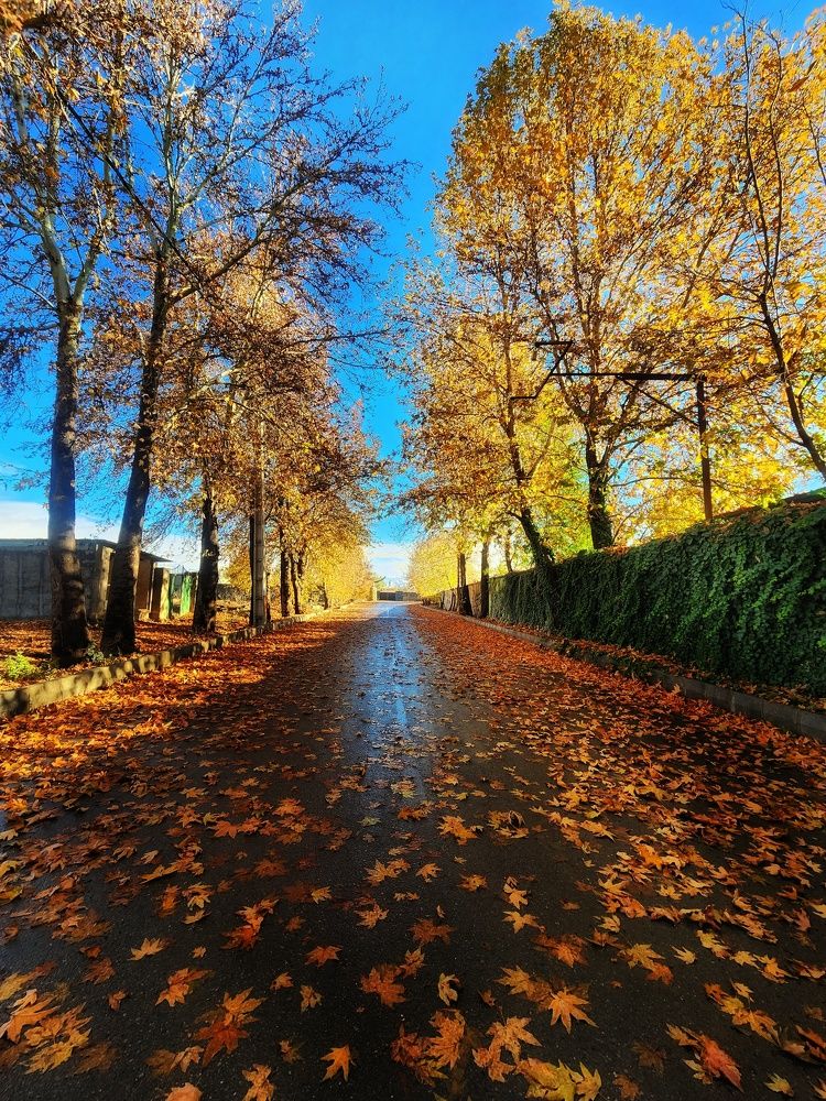 Фотография автора reyhane  khavaninzadeh