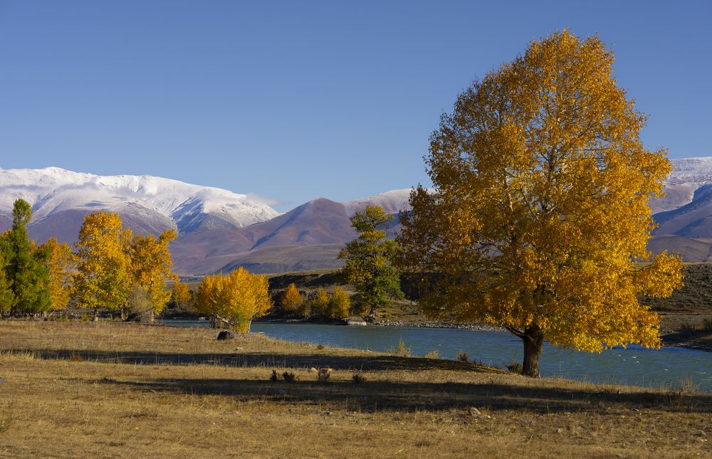 Фотография автора Ковалев Дмитрий