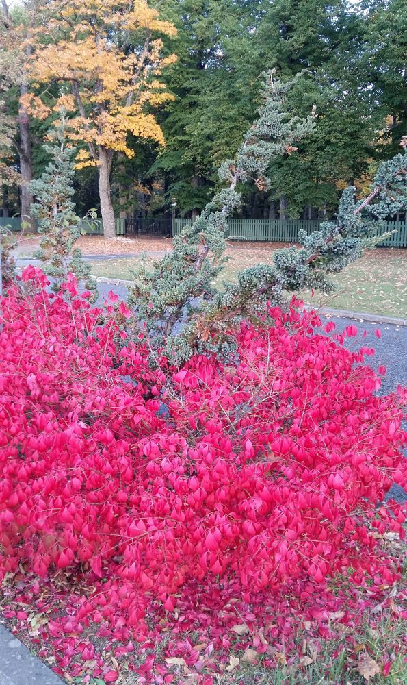 Photograph by Rein Mändaru