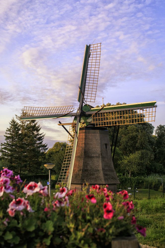 Photograph by Елена Евдокимова