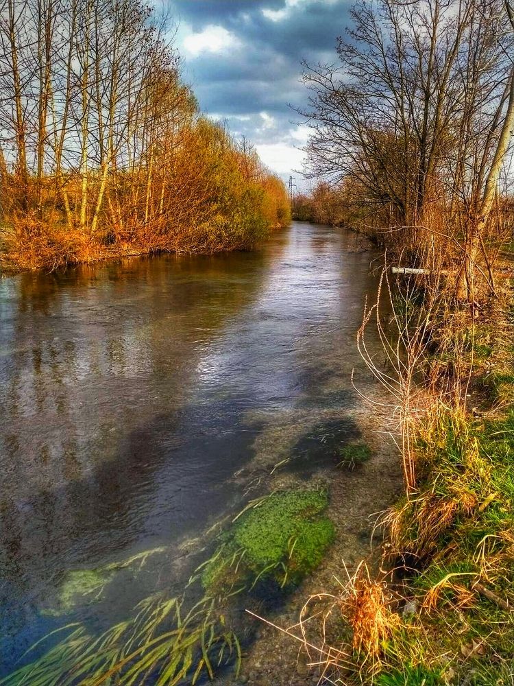 Photograph by Елена Егорова