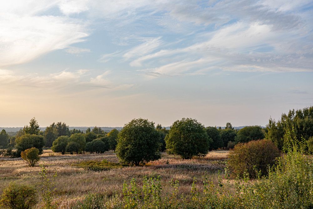 Фотография автора Алина Павлова