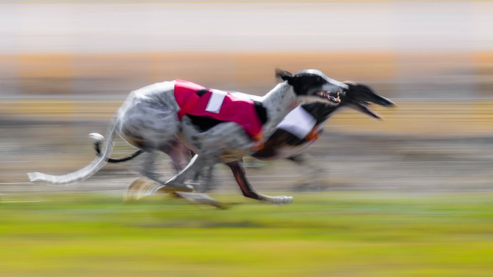 Photograph by Francisco José López Fernández