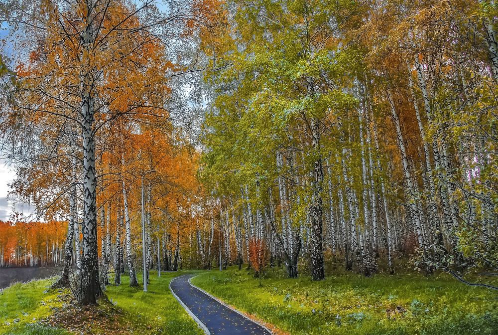 Photograph by Пушкин Сергей