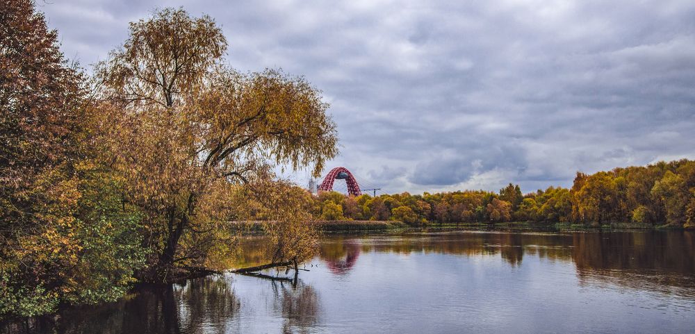 Фотография автора Анна Лукьянчикова