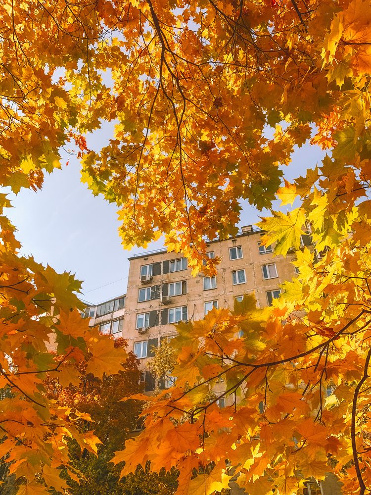 Photograph by Евгения Д