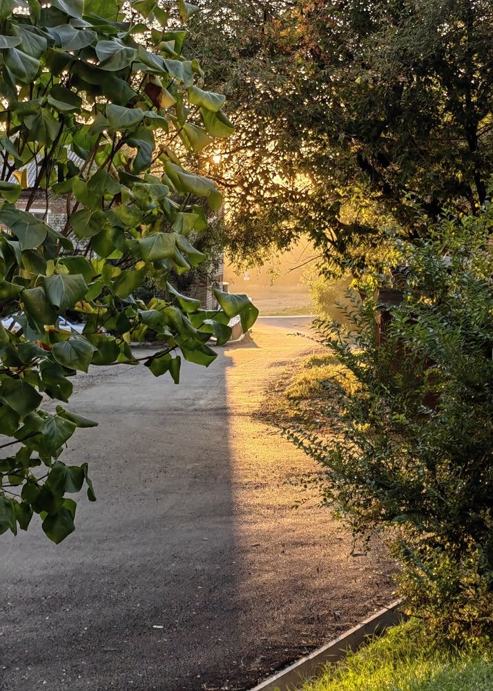 Photograph by Кристина Гареева