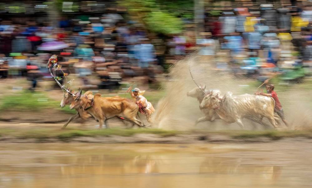 Photograph by Lê Huy Anh