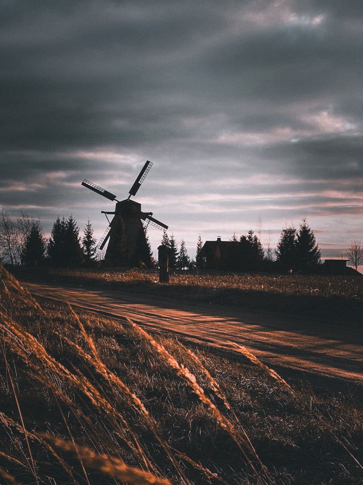 Photograph by Елена Башмакова