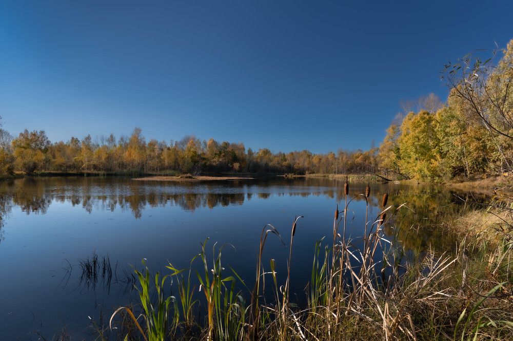 Photograph by Игорь Иванов