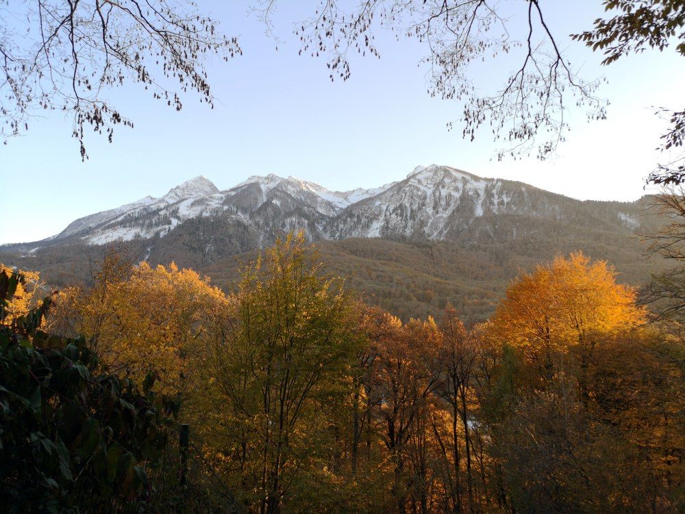 Photograph by Кристина