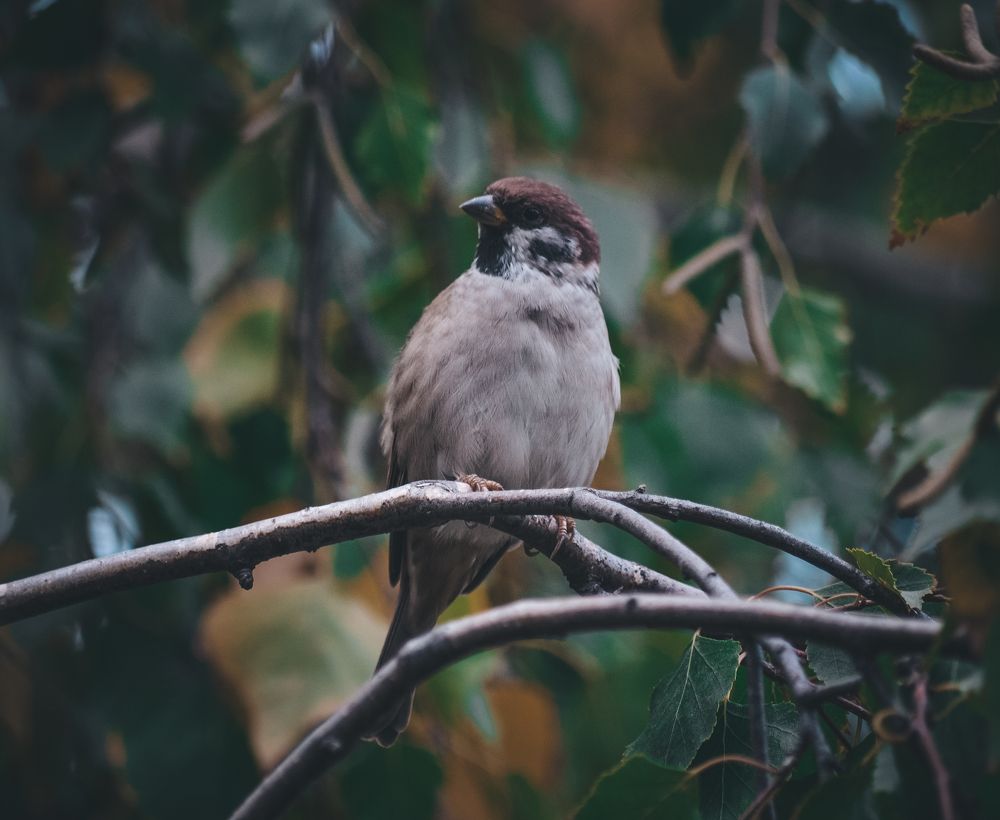 Photograph by Катерина Сорокина