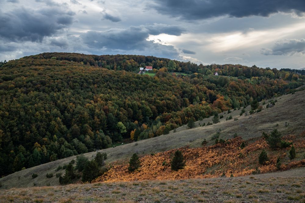 Photograph by Татьяна Алексеева