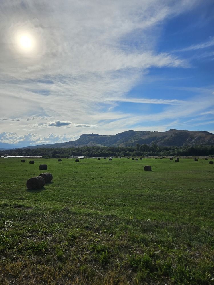 Фотография автора Ангелина Франк