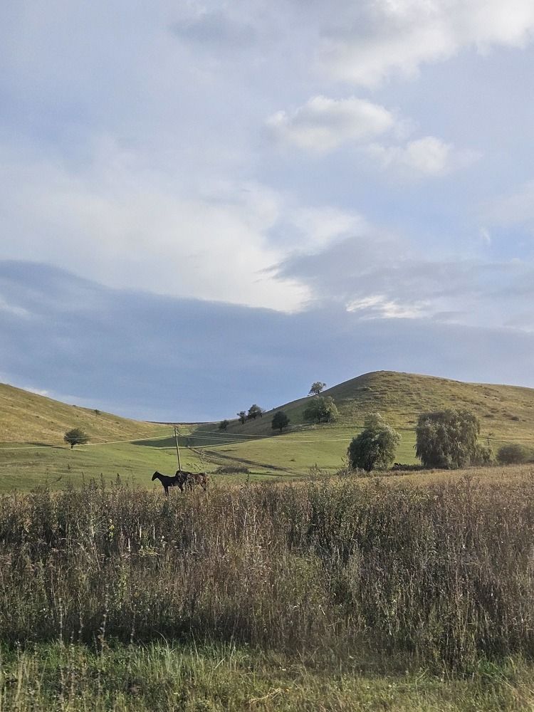 Фотография автора Ангелина Франк