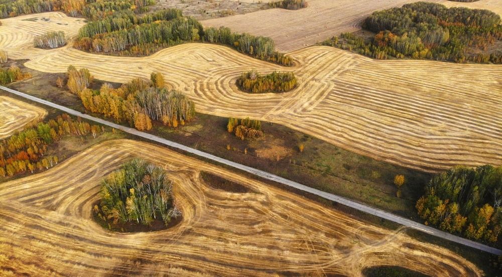 Фотография автора Татьяна Добровольская
