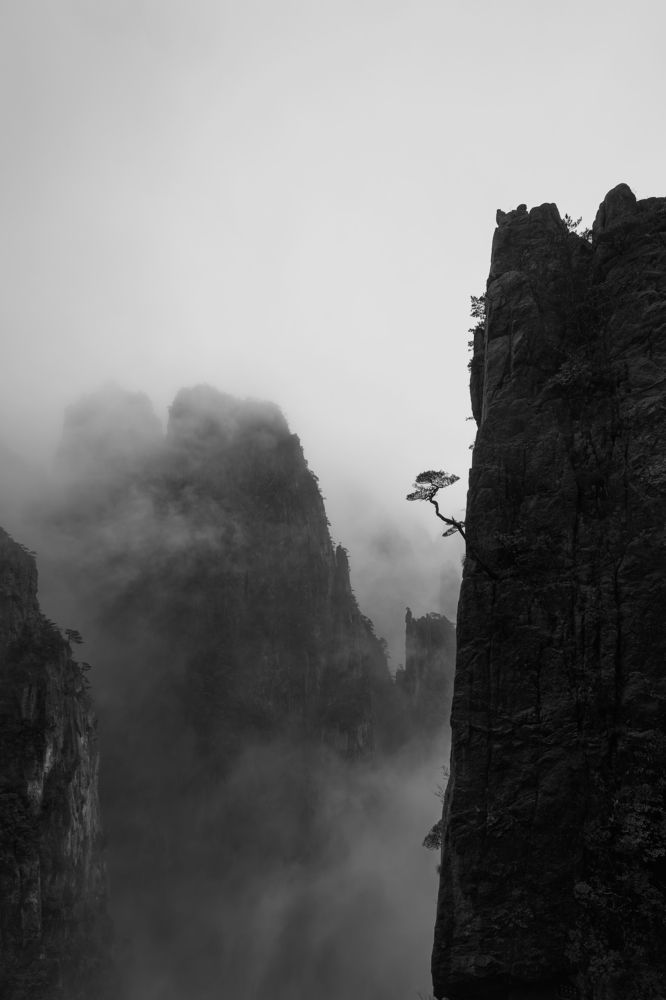 Photograph by Ni Bruce