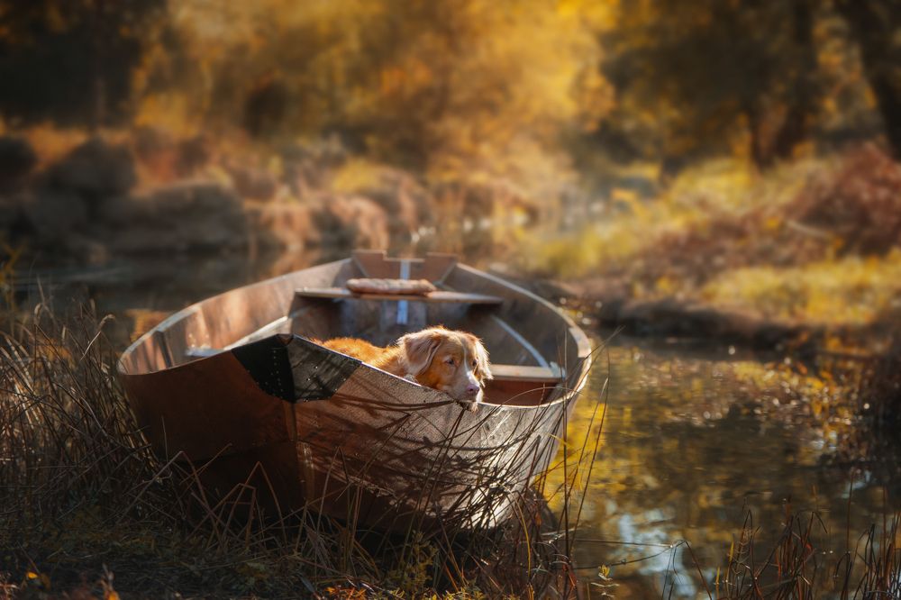 Photograph by Андрианова Ирина