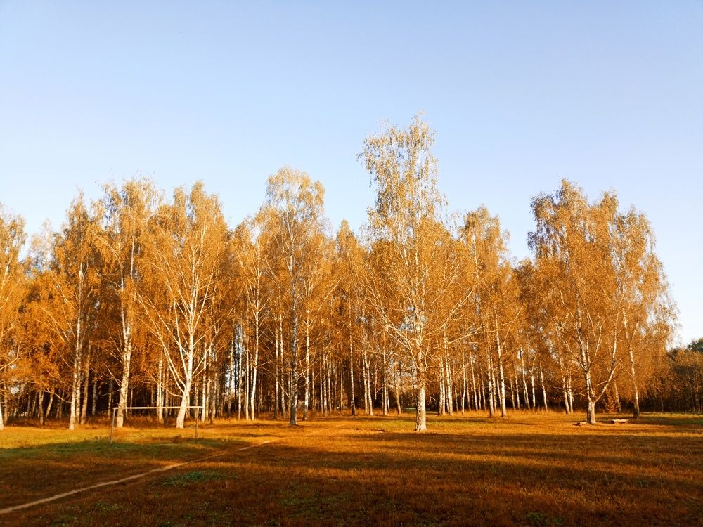 Photograph by Юлия