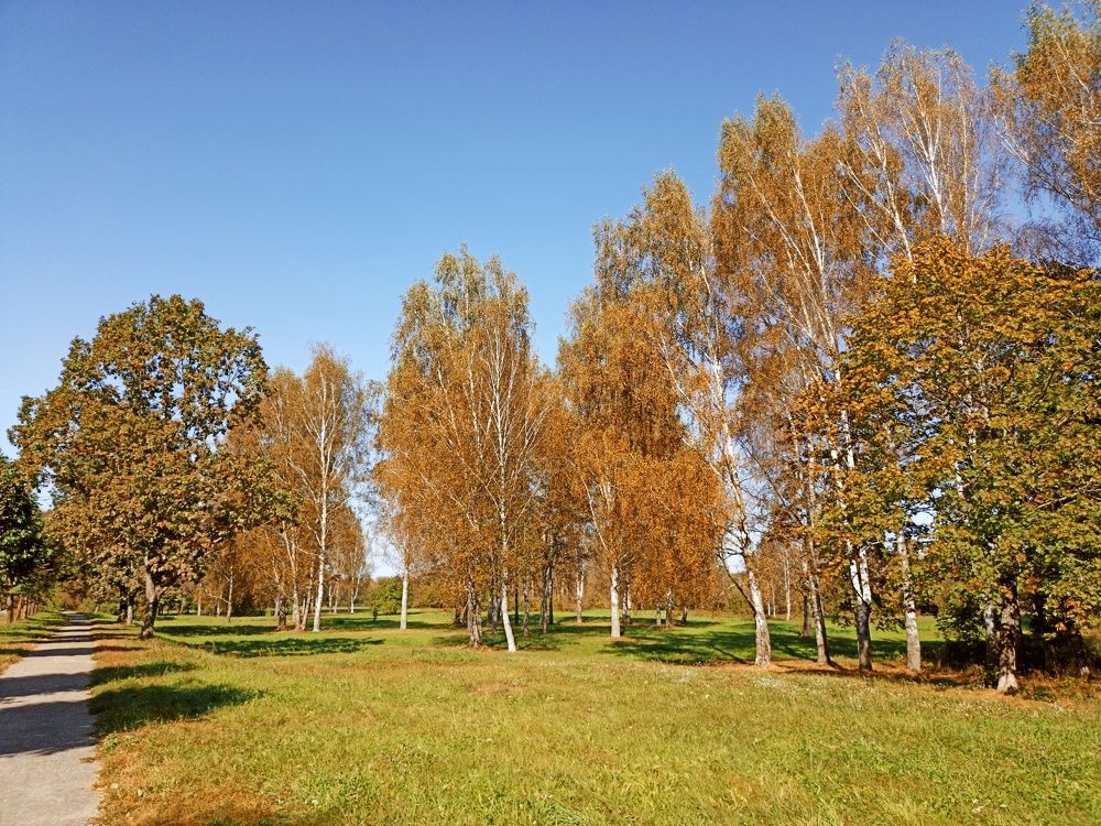 Photograph by Юлия