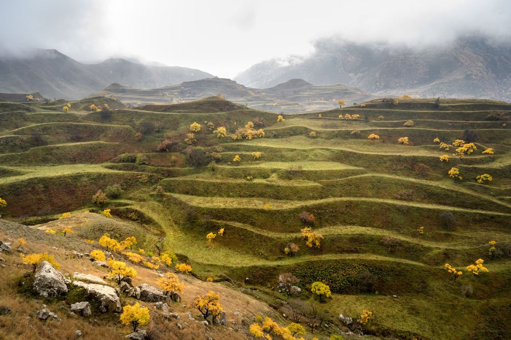 Photograph by Евгений Важенин
