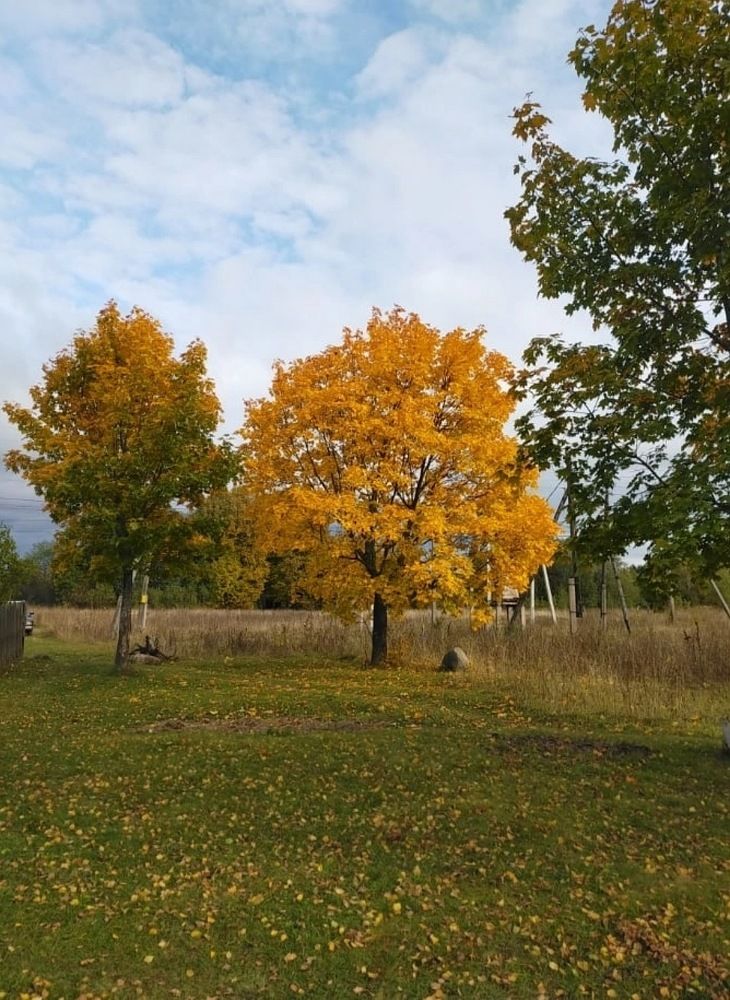 Photograph by Лилия Нурова