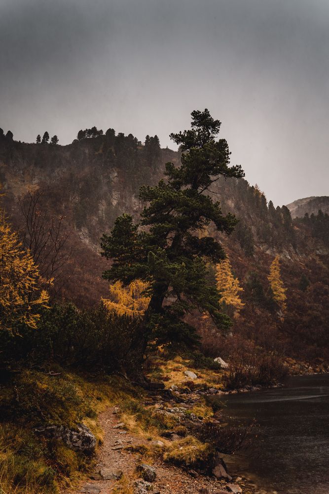 Photograph by mitja ostrc