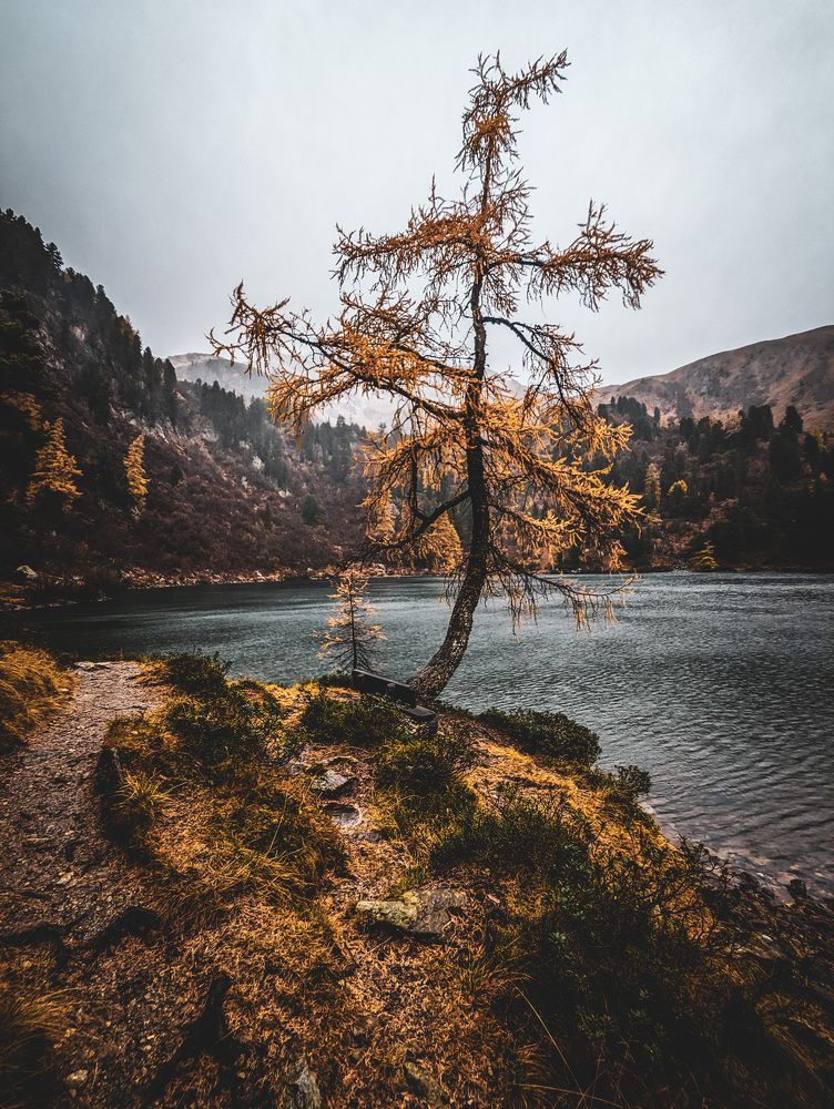 Photograph by mitja ostrc