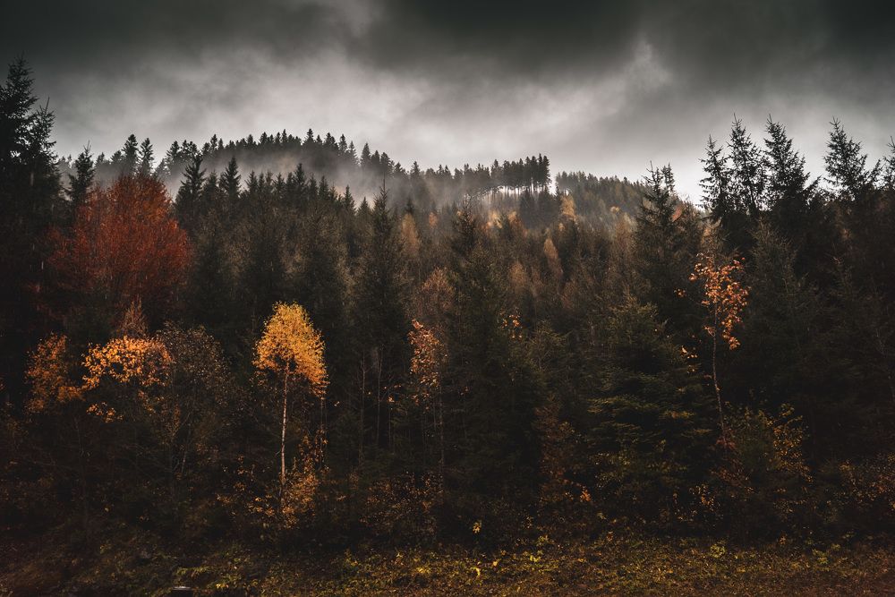 Photograph by mitja ostrc