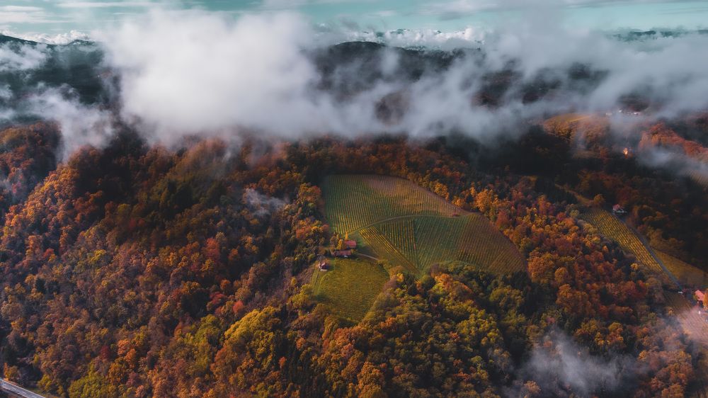 Photograph by mitja ostrc