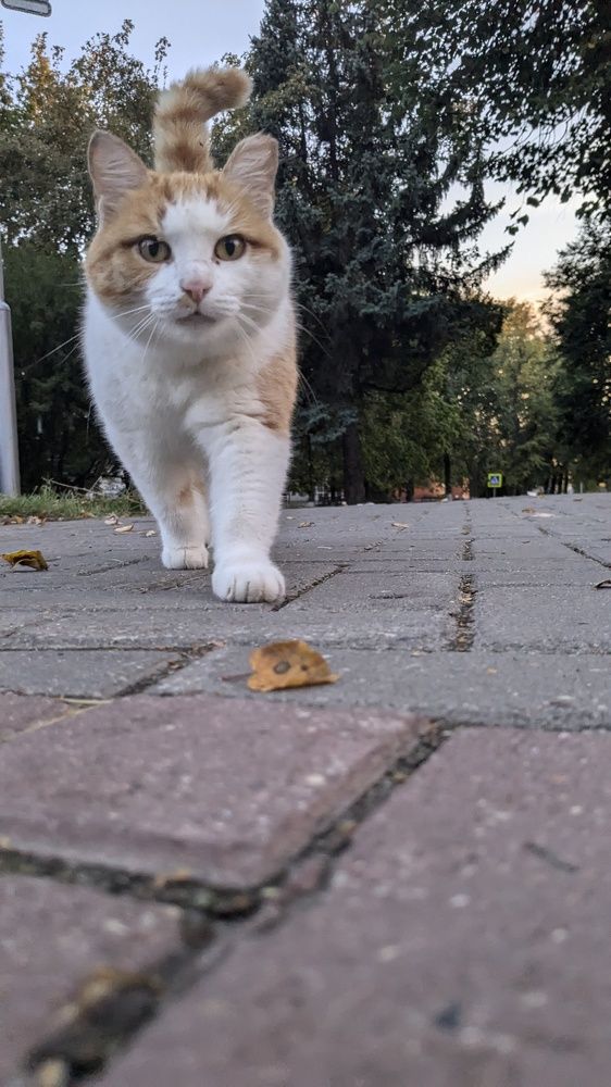 Photograph by Алексей Никифоров