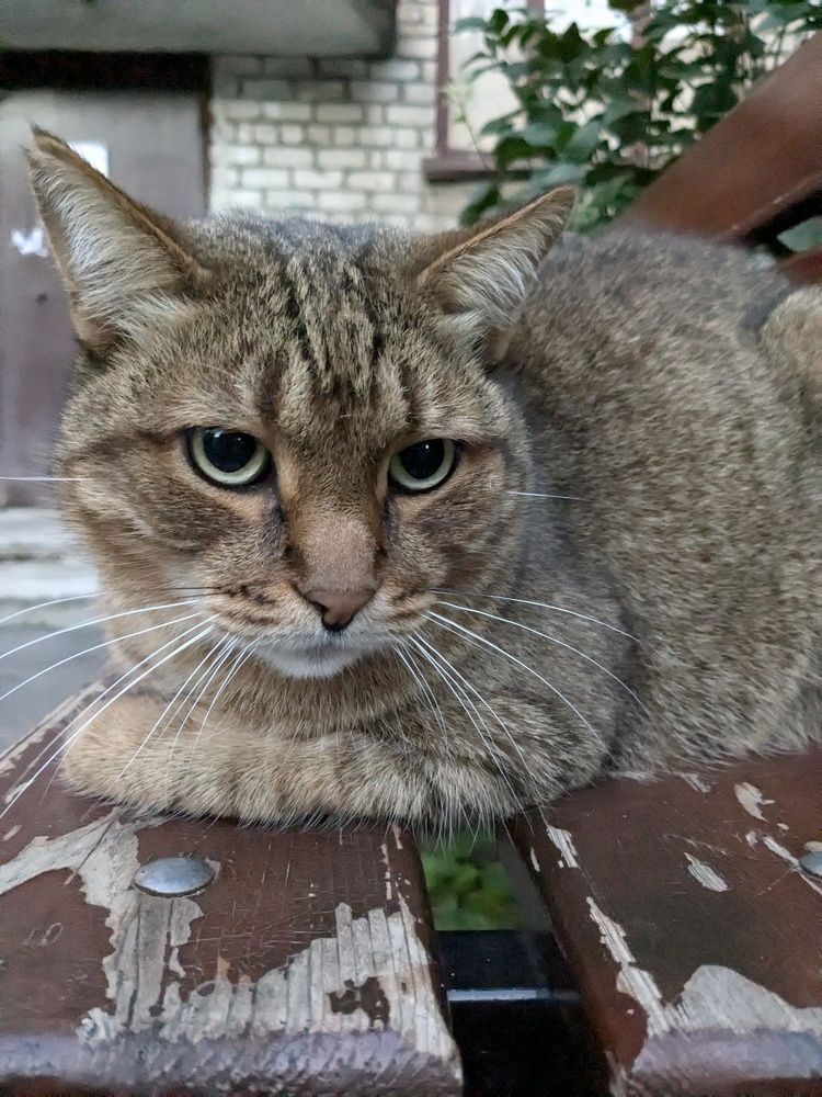 Photograph by Алексей Никифоров