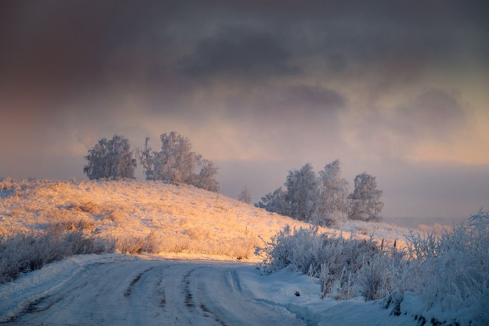 Photograph by Зорин Дмитрий