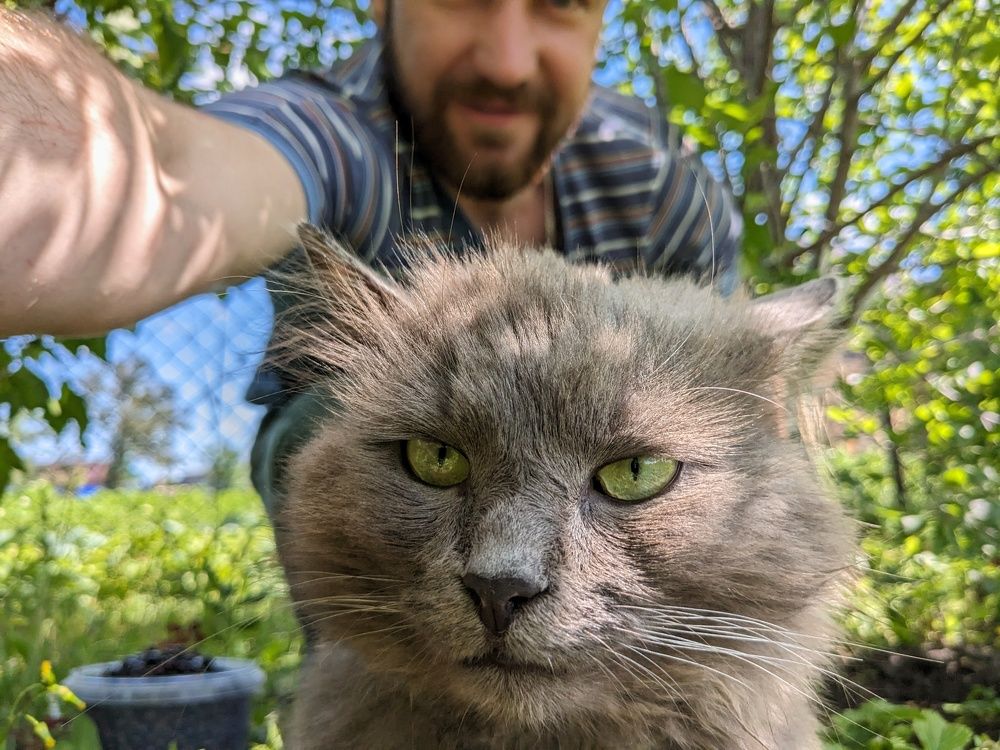 Photograph by Алексей Никифоров