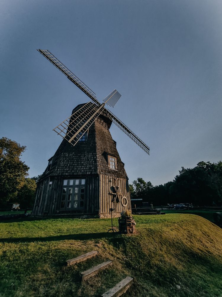 Photograph by Elena Tamošauskaite