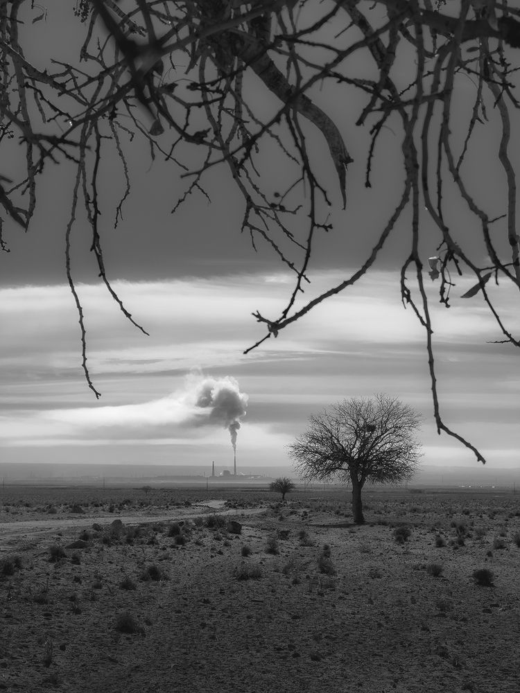 Photograph by RezaGhasemi